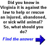 wwb001011.jpg